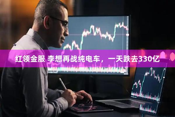 红领金服 李想再战纯电车，一天跌去330亿