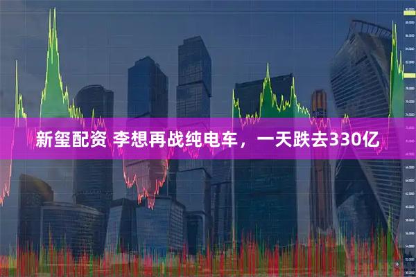 新玺配资 李想再战纯电车，一天跌去330亿