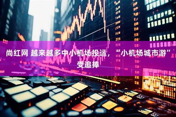尚红网 越来越多中小机场投运，“小机场城市游”受追捧